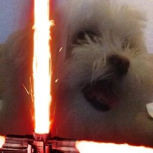 Meet your Posher, Rommel